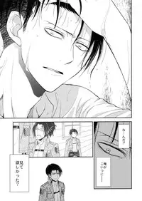 (C90) [RIX (Mamiya)] Ten ni Habataita Sono Ato mo (Shingeki no Kyojin)