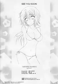 (C82) [SONIC WINTER (Tsukishima Kai)] Futari no Natsu Monogatari. Our Summer Memory (Infinite Stratos)
