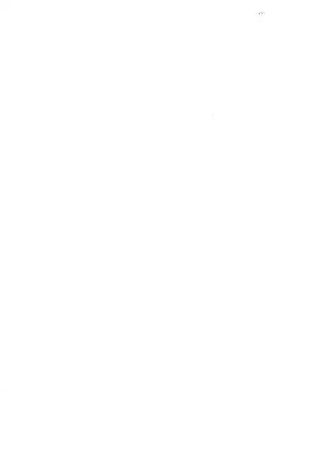 Itsumo 3-nin Issho de ne?