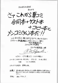 (C60) [ENERGYA (Roshiya No Dassouhei)] COLLECTION OF -SAILORMOON- ILLUSTRATIONS FOR ADULT Vol.6.5 (Bishoujo Senshi Sailor Moon)