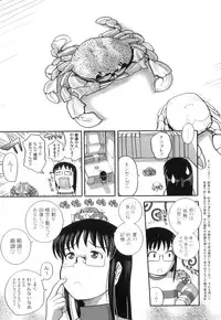 Anthology - PLUM LS 03 [2011-01-28] (Book) (HQ)