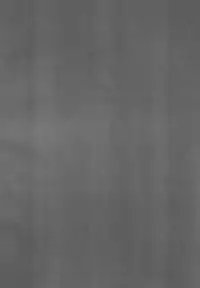 Maso Buta Seihai BooBoo-chan Neru!!