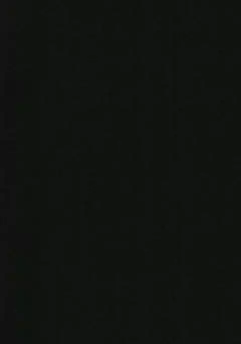 Neko Musume Hatsujou-chuu