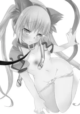 Tadashii Nyanko no Shitsukekata