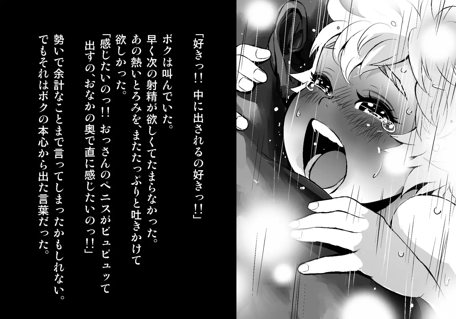 フェアリーセティ