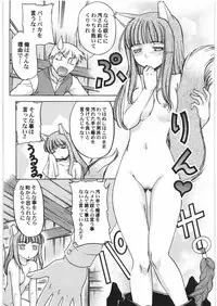 (C76) [Kacchuu Musume (Hisahiko, Shimamoto Harumi)] Smalt Leather (Spice and Wolf)