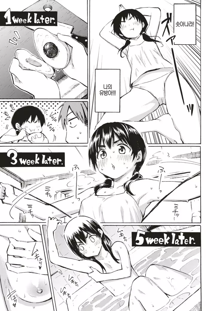 Koufukuki no Rinjin | 행복기의 이웃