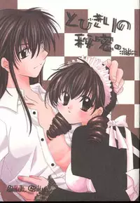(C64) [Sakurakan (Seriou Sakura)] Tobikikiri no Himitsu (Inuyasha)