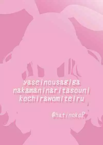 Yasei no Usagi ga Nakama ni Naritasou ni Kochira wo Miteiru | 野生兔子似乎想當夥伴,一直町著你看