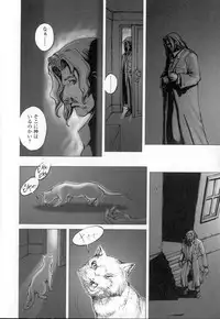 [Sengoku-kun] Cambion