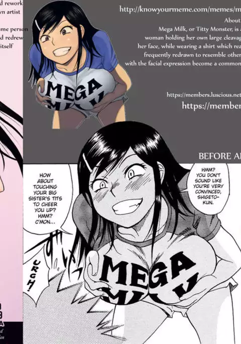 Hinnyuu Kyonyuu History | Tiny Boobs Giant Tits History