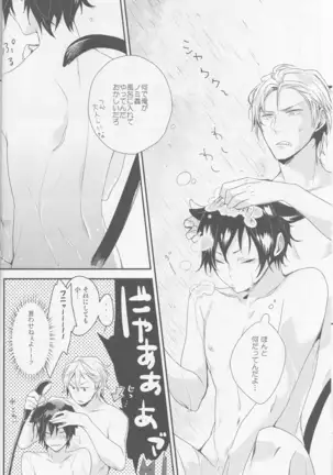 Cat&Chocolate - Durarara doujinshi Japanese