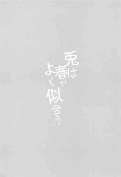 Usagi wa Haru ga Yoku Niau