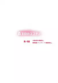 (SC2017 Summer) [Bitter Crown (Nanamiya Rin)] Aru Hi no KokoChino (Gochuumon wa Usagi desu ka?)