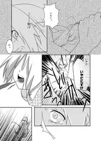 [Kyoka Suigetsu]Rh - no koi 1 (Fullmetal Alchemist)