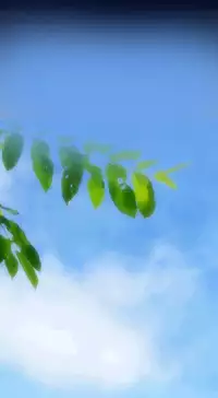 [Hong BanJang] Aharoo Ch.1-40 (English) (YoManga) (Ongoing)