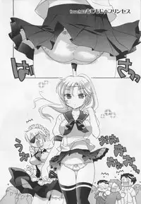 [Nakata Yumi] Iinari Princess