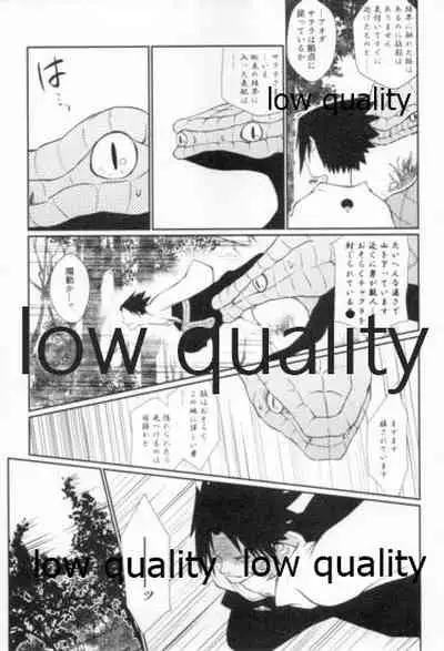 Time Travel Honeymoon 2