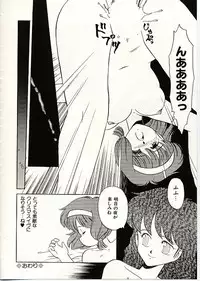 [DONKEY] Fuwa Fuwa Sunny Side