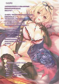 (C93) [Onijima no Gogo (Makirin)] Secret Lingerie Vol. 2 (Sennen Sensou Aigis)