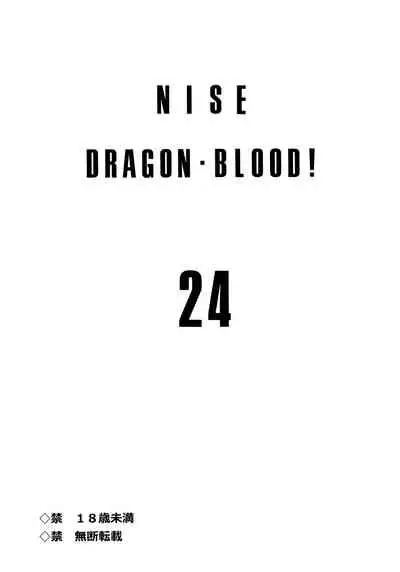Nise Dragon Blood! 24.