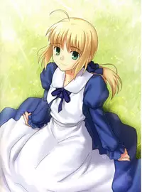 [TYPE-MOON (Takeuchi Takashi)] Fate/stay nigh FAKE Avalon(fate/stay night)t(chinese)