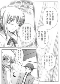 (C66) [Studio Wallaby (Takana Yu-ki)] Secret file next 10 - I feel my Fate (Fate/stay night)