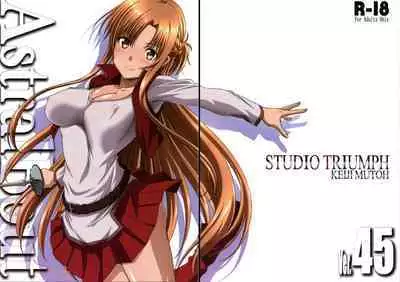 (C100) [STUDIO TRIUMPH (Mutou Keiji)] Astral Bout Ver. 45 (Sword Art Online)