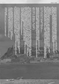 (C83) [Ameyama Telegraph (Ameyama Denshin)] Rokujou Junko no Haisetsu Kagai Jugyou