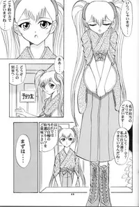 (C54) [Studio Wallaby (Various)] VITAMIN-B5 1/2 Ruri Ruri Naisho no Arbeit Nikki (Martian Successor Nadesico)