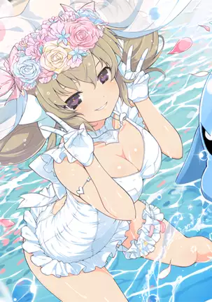 Master Ninja Senran Kagura NEW LINK