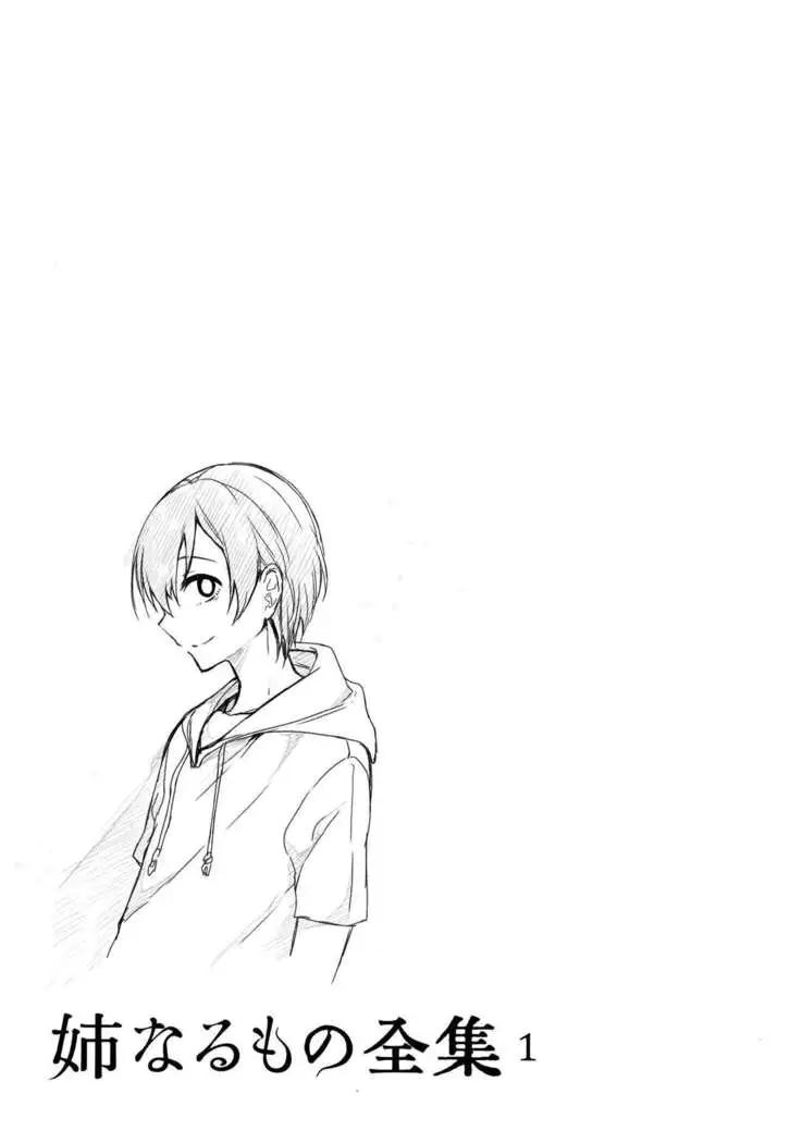 Ane Naru Mono Zenshuu 1 | Ane Naru Mono Complete Works 1