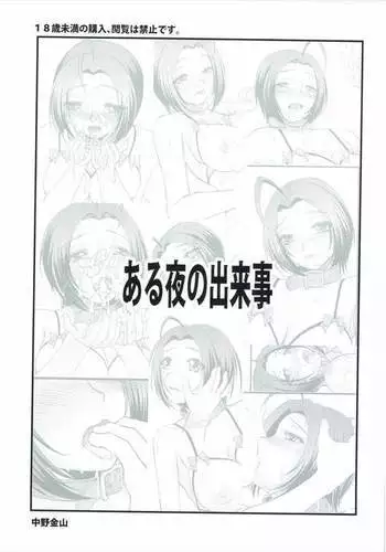 Aru Yoru no Dekigoto