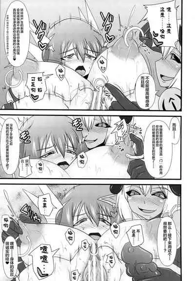 Shield Knight Elsain Vol. 13 Succubus Flirtation