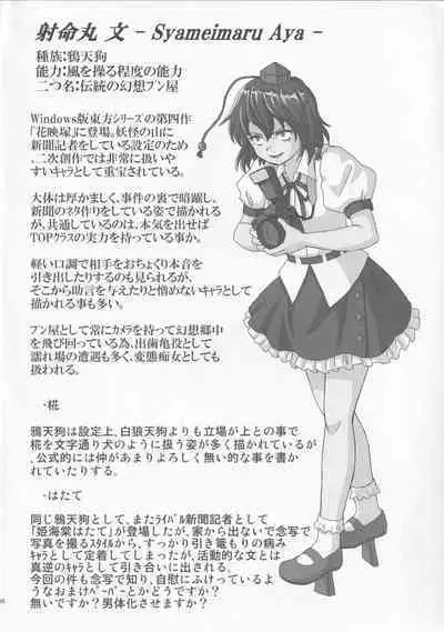 [Madou Shiryoushitsu (Arashi-D-Akira, Sasaki Teron, emina)] Triple Fighter Mitsudomoe (Touhou Project)