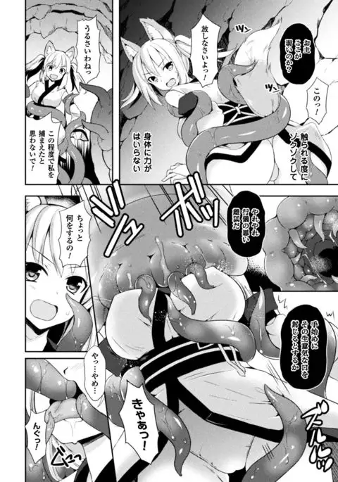 Seigi no Heroine Kangoku File Vol. 15