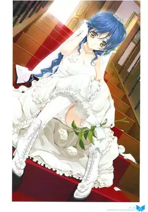 八宝備仁画集 紅蝶（ほてり）