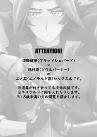 [aimee] Burashe ga soba no eme o ×× suru hanashi (Yu-Gi-Oh! VRAINS) [Digital]