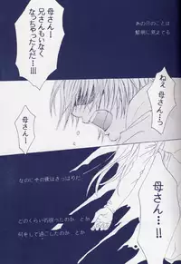 [Devil May Cry] Fragment (VergilxDante)