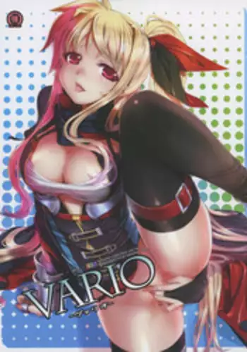 (C85) [TRI-MOON! (Mikazuki Akira!)] vario (Mahou Shoujo Lyrical Nanoha)