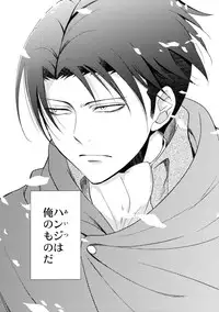 (C90) [RIX (Mamiya)] Ten ni Habataita Sono Ato mo (Shingeki no Kyojin)