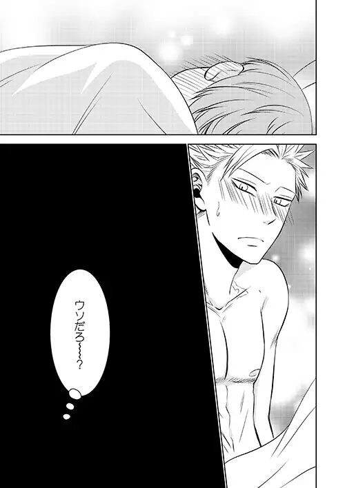 Yousei Ou to Fujimi Otoko no Ichiya no Ayamachi