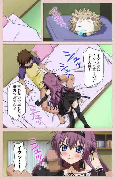 Tsun Tsun Maid wa Ero Ero Desu complete ban