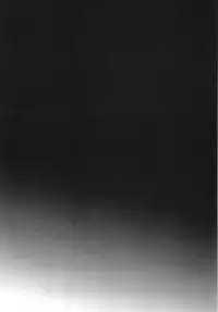 (C85) [Bronco Hitoritabi (Uchi-Uchi Keyaki)] Slave Builder (Gundam Build Fighters)