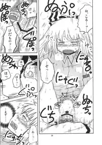 (C78) [Fugudoku (Katou Fuguo)] SURUDAKE. (Touhou Project)