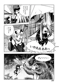 [Kondom] Fairie Clinic