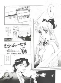 [Anthology] Bishoujo Doujinshi Anthology 2 - Moon Paradise 1 Tsuki no Rakuen (Bishoujo Senshi Sailor Moon)