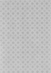 (C81) [atSD (Tsuneyoshi)] Mikoto to. 2 (Toaru Majutsu no Index) [Chinese] [CE家族社]