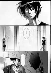 (C68) [Takahashi Kanbanten (Tajima Minato)] Kago no Tori 3 (Tenkuu No Escaflowne)