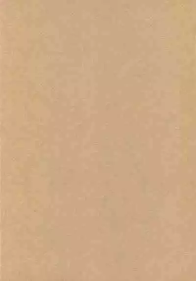 Are the rumors true that the Bass Vocals and Drums of that Popular Band are Futanari!?